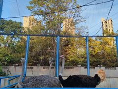 -森林公园(尖草坪区)