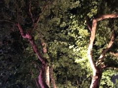 -吴山路夜市