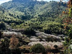 -广州市流溪河国家森林公园