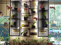 -街角 T·COFFEE 融合料理·BISTRO(车公庙店)