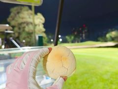 -观澜湖高尔夫球会