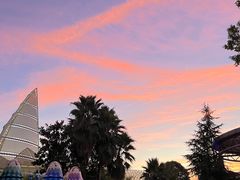 -海合安武汉极地海洋公园