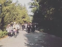 -哈利波特魔法世界