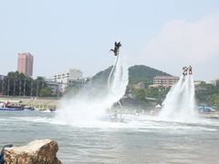-大连老虎滩海洋公园