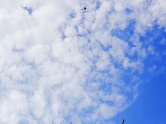 -映月湖中央公园