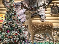 -卢布里西餐厅(总店)