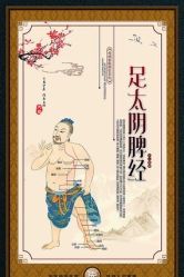点击看大图 -玛莲朵·海菲秀冰珀科