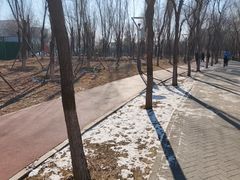 -大兴滨河森林公园