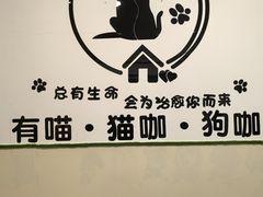 -有喵·猫咖·狗咖·40+猫狗有小奶狗(岗厦店)
