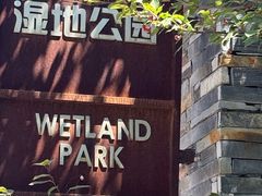-东郊湿地公园