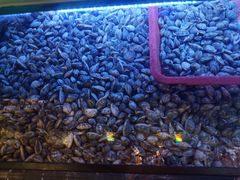 -特色酱椒鱼私房菜(黄鹤楼店)