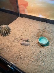 -酷嗒动物文化乐园(cutezoo西溪乐天城店)