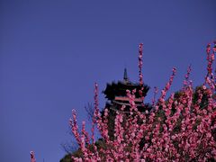 -杭州半山国家森林公园