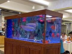 -明香海鲜酒家(华强北店)