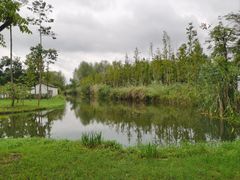 -溱湖国家湿地公园