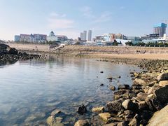 -海合安青岛极地海洋公园
