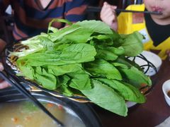 小青菜-尼玛藏家风味园(阿山食城店)