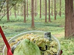 -黄海国家森林公园