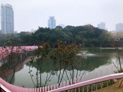 -两江幸福广场