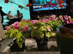 -杏花村水席楼·洛阳水席(老城十字街店)