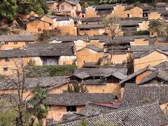 -杨家堂村