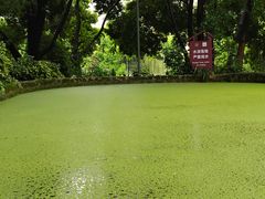 -成都市活水公园