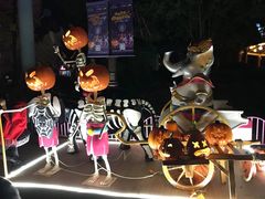 -七彩云南欢乐世界