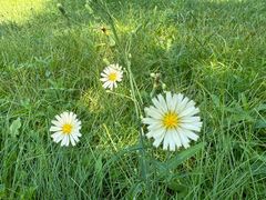 -吉林大学(前卫南区)