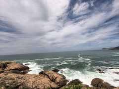 -广东惠东海龟国家级自然保护区