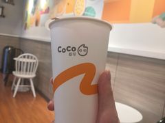 -CoCo都可(丁家庄店)