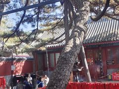 -红螺寺