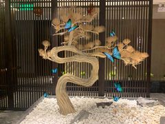 -江仙雅居(中航国际店)