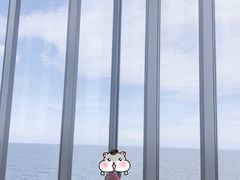 -涉地可支
