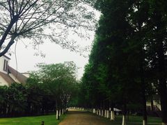 -太阳岛度假酒店