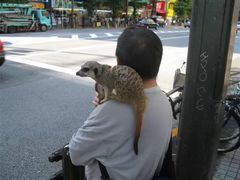 -秋叶原电器街