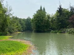 -桤木河湿地公园