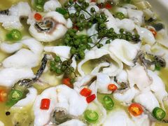 -青花椒花椒鱼(合生汇店)