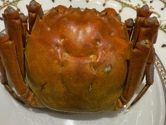 -王宝和酒家(黄浦店)