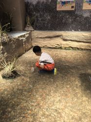 -造物庄园 萌宠纪(苏州湾歌林公园店)