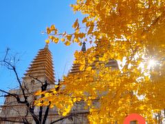 -北京石刻艺术博物馆(五塔寺)