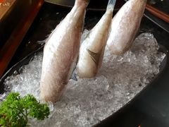 -王家渡火锅店(棕榈泉店)
