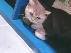 -小时光咖啡馆(开森度假森林店)
