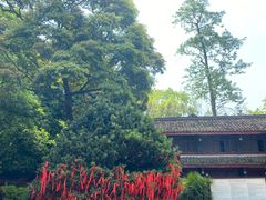 -峨眉山报国寺