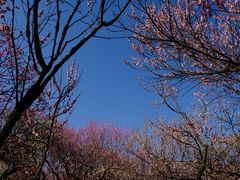 -无锡梅园公园