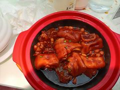 鲍汁猪手煲-大树餐厅(环球港店)