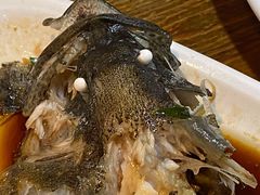 清蒸老虎斑-南海渔家•海鲜•正宗海南菜(海棠湾店)