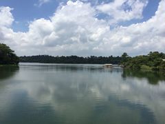 -河川生态园