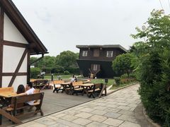 -金山农民画村-枫泾波兰倒置屋