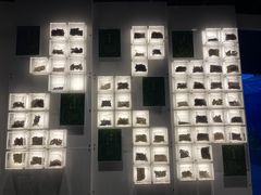 -广东中医药博物馆