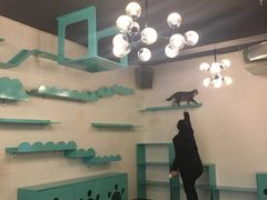 -萌喵宠狗爱心宠咖